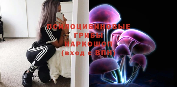 Альфа ПВП Вязники