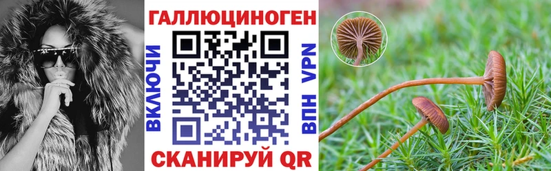 Псилоцибиновые грибы мухоморы  Купить где  Сорск 